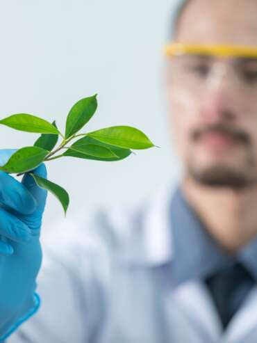 person-holding-green-leafed-plant-2280551