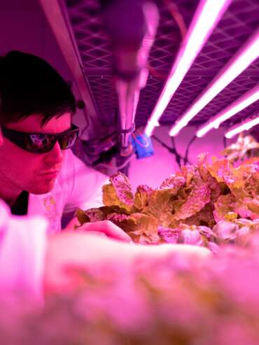 scientist-checking-crops-in-laboratory-3912479