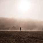 silhouette-of-person-walking-on-brown-field-3415663